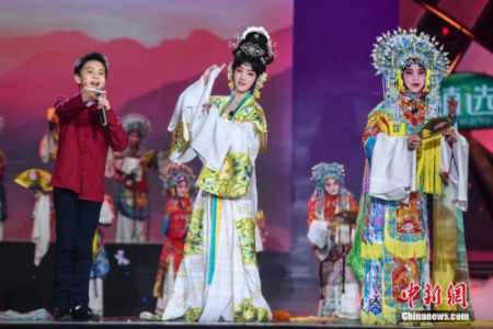 杨钰莹（中）与加拿大华裔王鸿翔（左一）表演戏曲《再遇梨花颂》。 杨华峰 摄