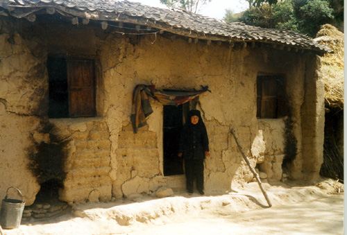 02.jpg