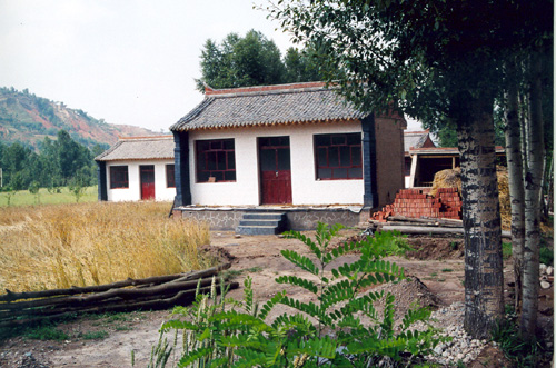 03.jpg